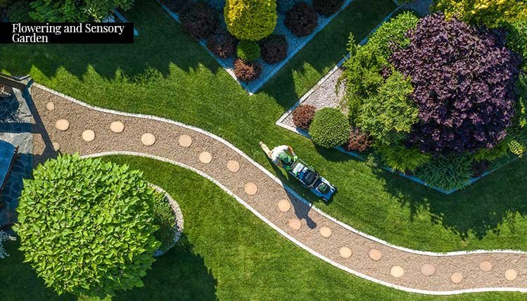 Flowering and sensory garden